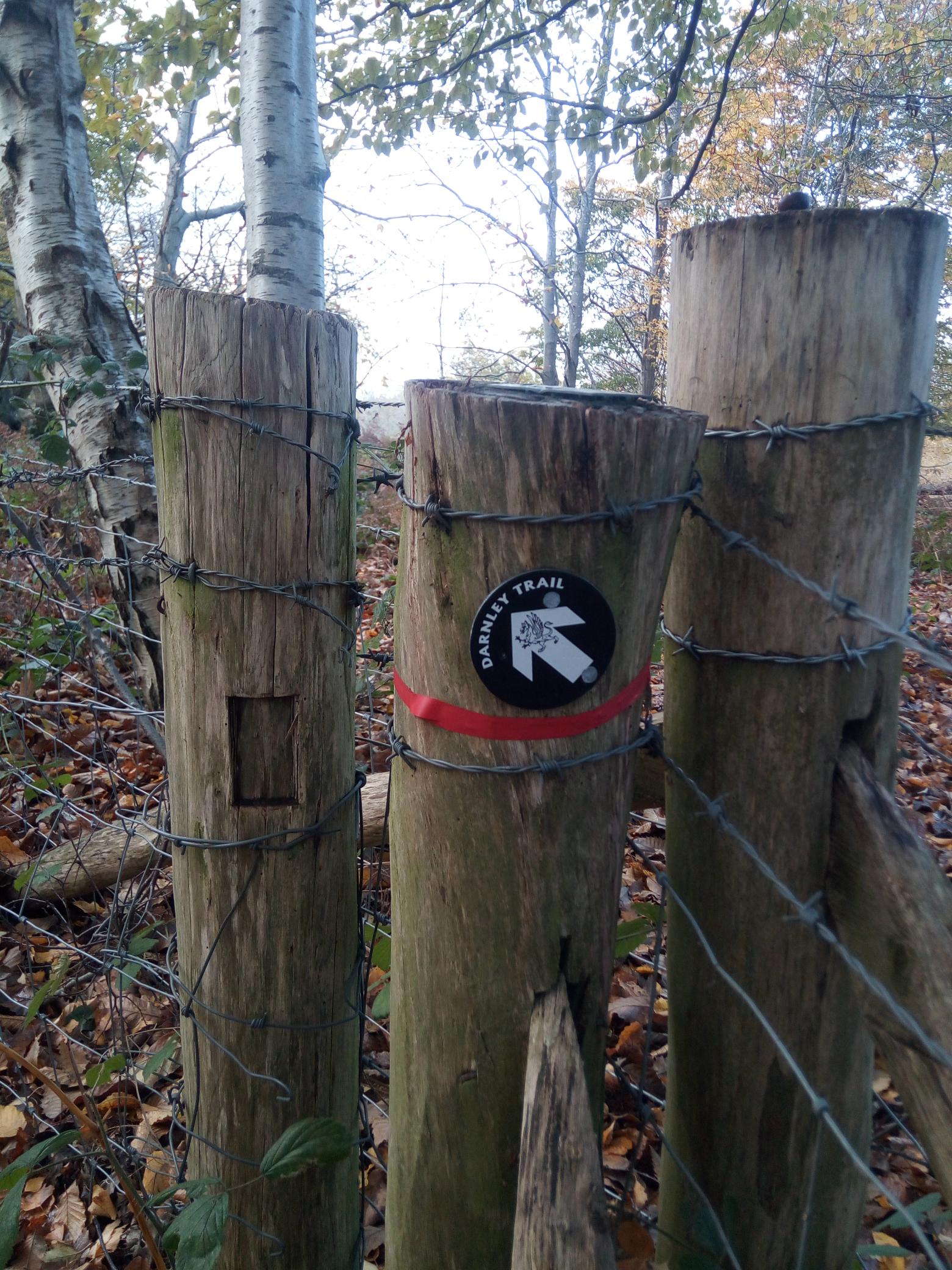 Shorne Woods Country Park – Darnley Trial
